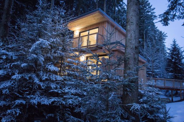 Séjour insolite en famille ou entre amis en Cabane Family Design et Spa