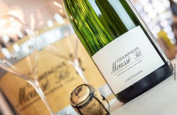 Coupe de Champagne