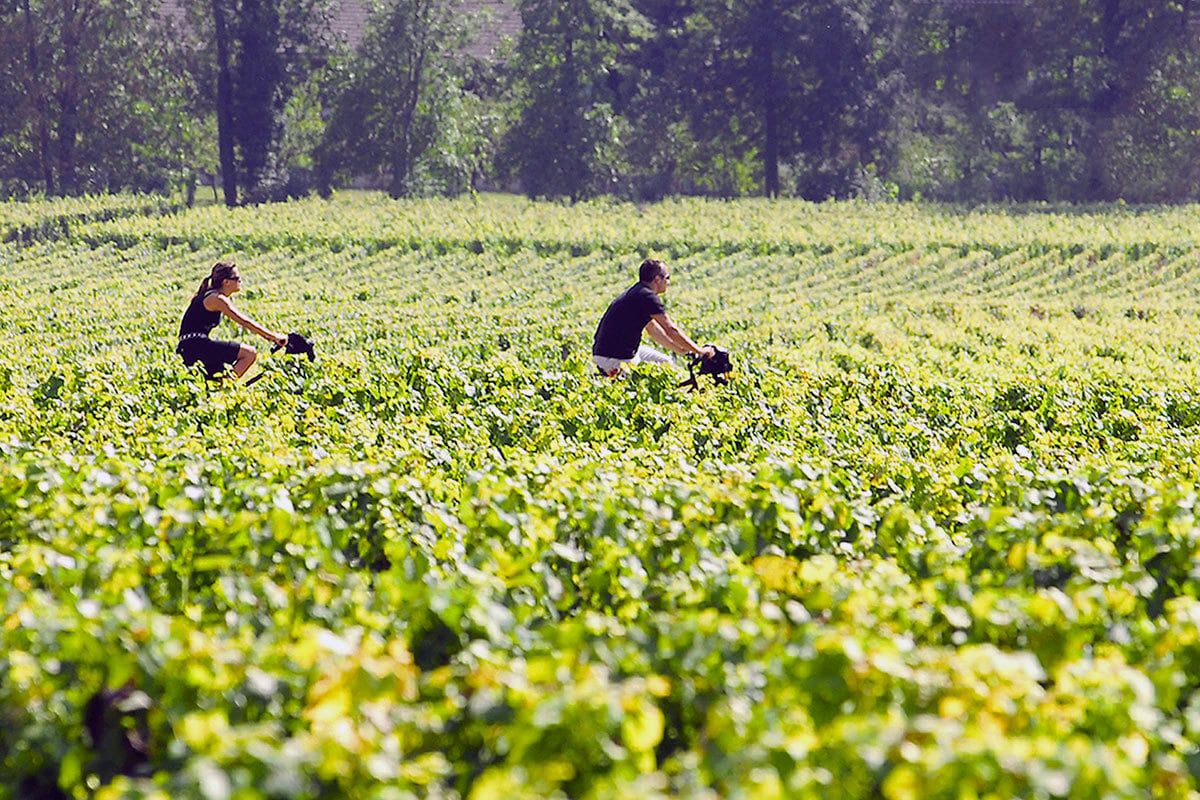 photo principale du coffret