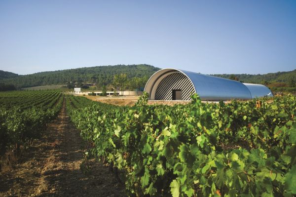 Visite des chais et dégustation