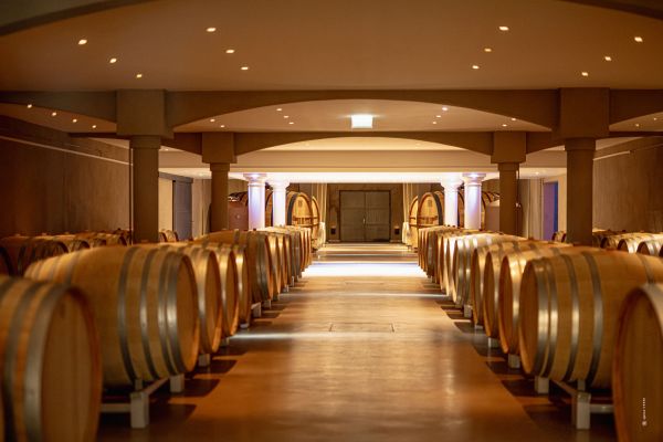 Visite de nos chais et dégustation des vins du domaine