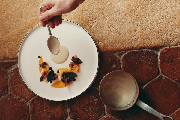 Le Menu Découverte – 10 Étapes – Accords Vins « Au Fil des Vignes »