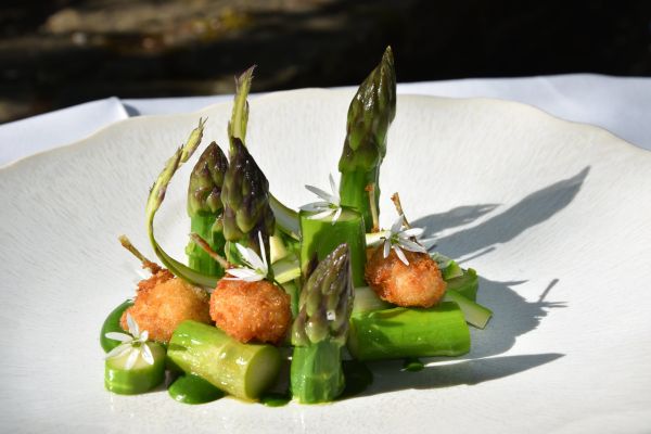 Menu de Saison