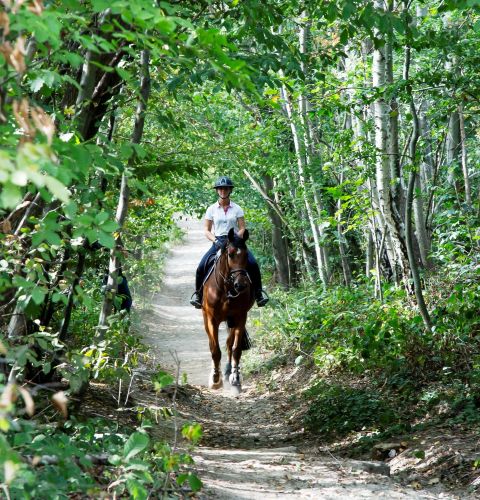 Balade à cheval à la Demeures de Campagne de Maffliers