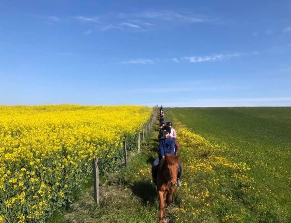 Balade à poney 30 min