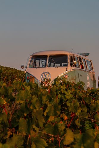 Tour en Combi VW