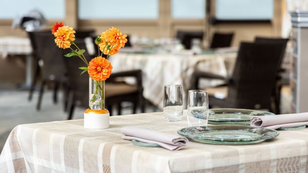 Menu Plaisir, en 3 services