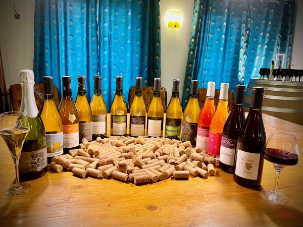 Bon cadeau  - Dégustation Privilège en Bourgogne