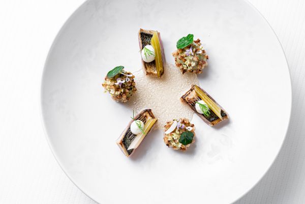 Menu Tentation avec Accord Mets et Vins