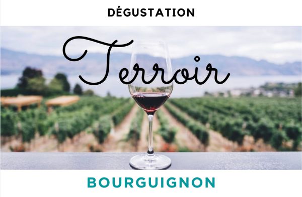 Dégustation de Vins - TERROIR BOURGUIGNON