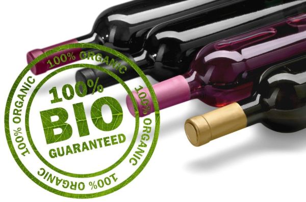 Dégustation de Vins BIOLOGIQUES