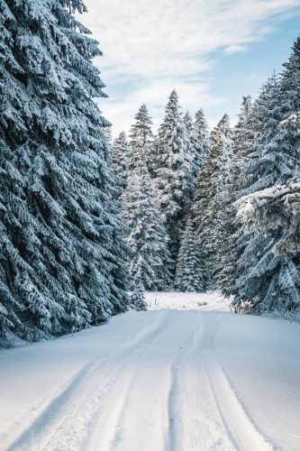 Soin Blanc Comme Neige (50 Min.)