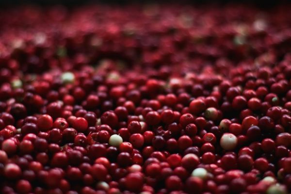Envelopment Cranberry (30 Min.)