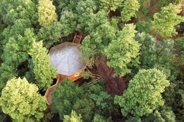 Découverte des Cabanes dans les Bois  à 2  en toute saison