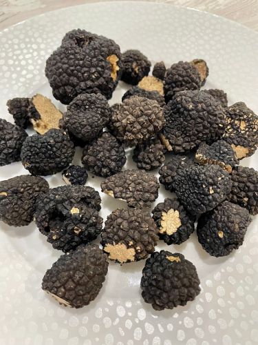 Séjour gastronomique autour de la truffe (2 jours et 1 nuit)