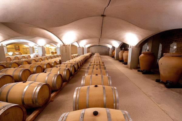 Visite & dégustation de 3 vins Malbec