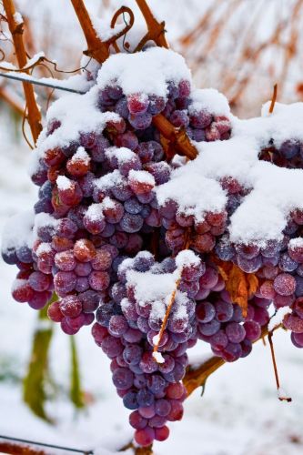 Forfait Hiver Bien-Etre